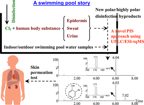 Byproducts in Swimming Pool Water